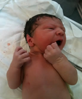 Lucas1a