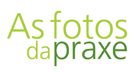 praxe
