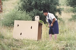04-7